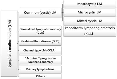 Recent Progress in Lymphangioma